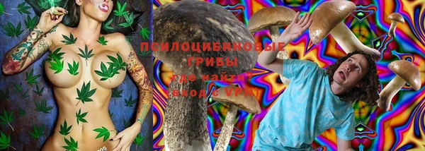 винт Алексеевка