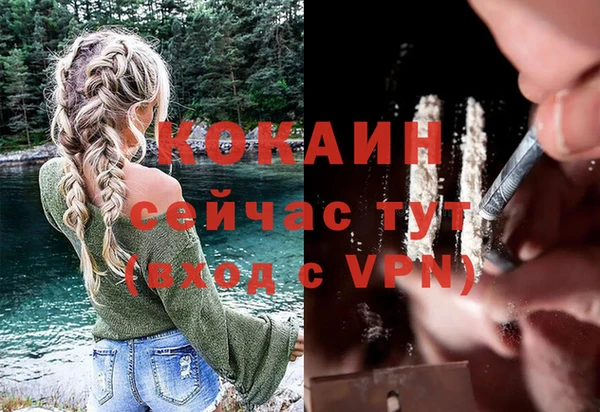 амф Алексин