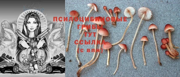 винт Алексеевка